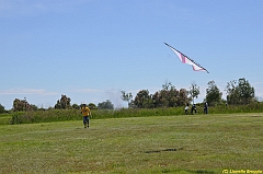 Venice kite festival_0074